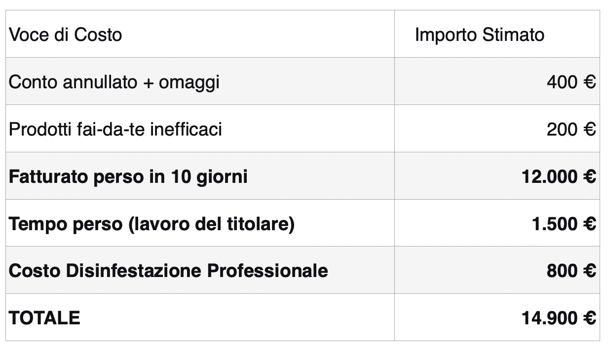 ATTENZIONE! Invasione di blatte volanti a Roma