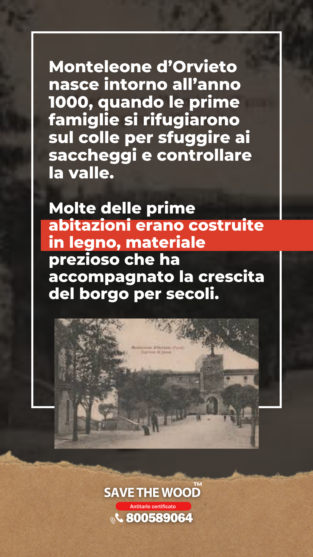 DISINFESTAZIONE TARLI ORVIETO