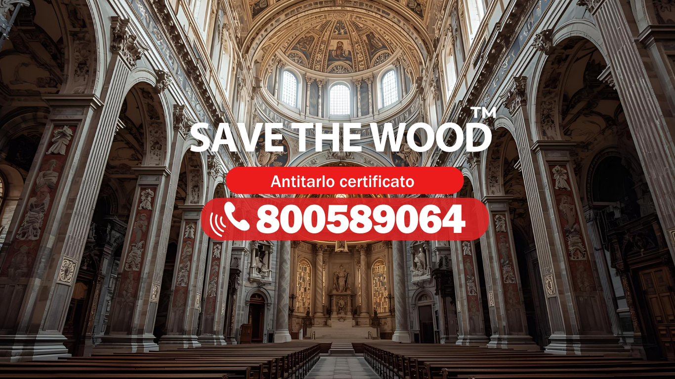 Le Termiti e i Rischi per le Strutture in Legno: Prevenzione Essenziale