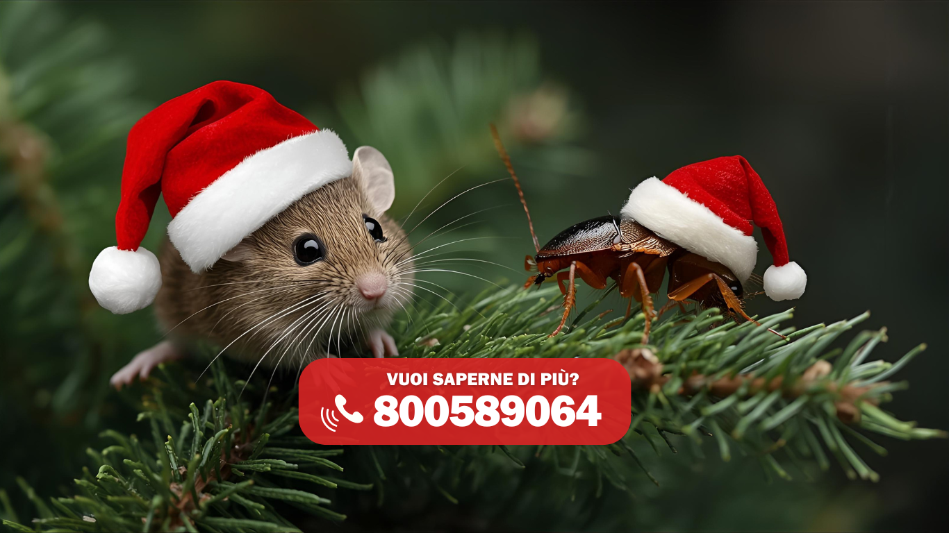 Disinfestazione per un Natale sereno: proteggi la tua casa dagli insetti